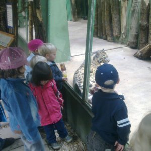 ZOO trip (3)