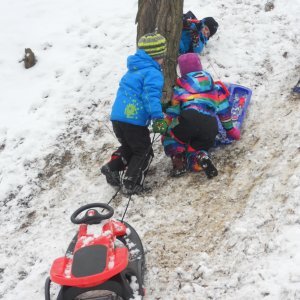 Sledging (1)