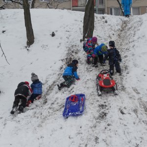 Sledging (3)