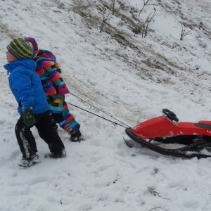 Sledging (4)