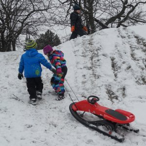 Sledging (5)