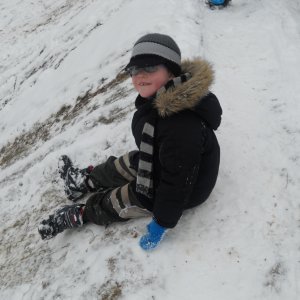 Sledging (6)