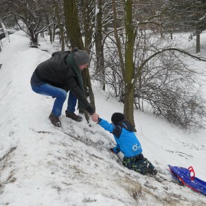 Sledging (11)