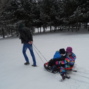 Sledging (14)