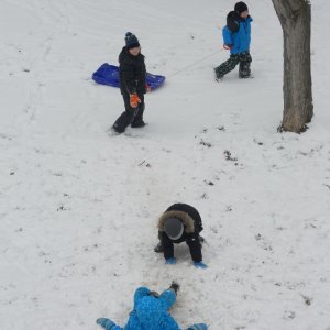 Sledging (17)